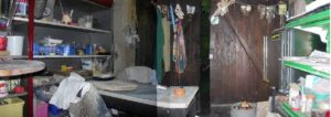atelier-elephant-gris