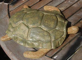 tortue de mer 2