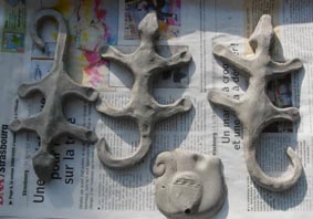 sèchage des salamandres