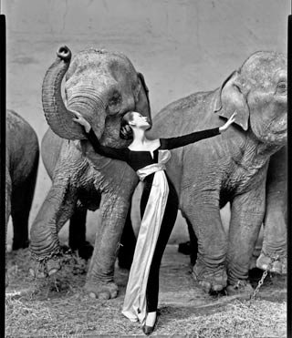 photo-richard-avedon