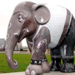 Hihaholifant By Frans Franciscus
