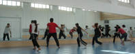 capoeira