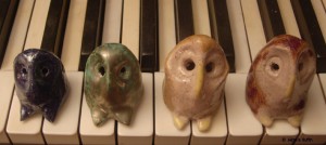 chouettes___