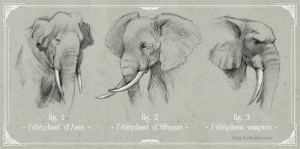 elephants