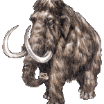 mamouth007