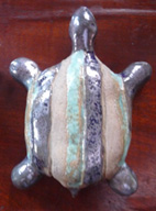 2009_tortuedesalon06