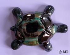2009_tortuedesalon04