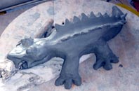 croco_ croco_