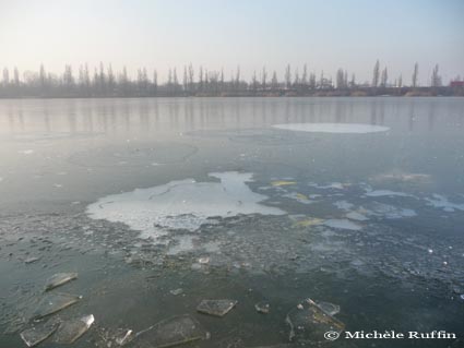 en-sandwich-entre-fond-et-glace en-sandwich-entre-fond-et-glace