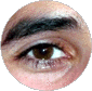 marc marc