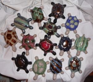 regroupement de tortues de salon