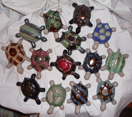 regroupement de tortues de salon