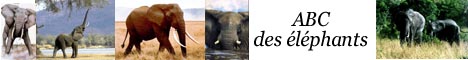 banner02