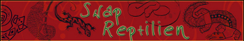 logo_swap_reptilien logo_swap_reptilien