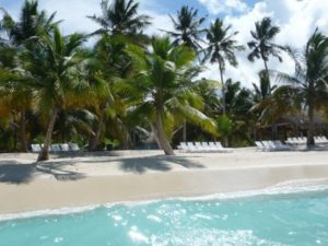 Saona l'île