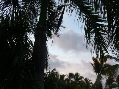 vue en regardant le ciel !