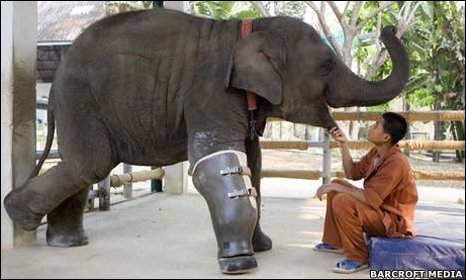 Mosha et sa jambe artificielle en Thailande Mosha et sa jambe artificielle en Thailande