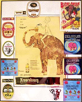 Eléphant Gris voyage