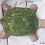 2009_tortuedesalon26 2009_tortuedesalon26