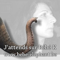 Les bêtises que l'on peut se fabriquer sur le site 