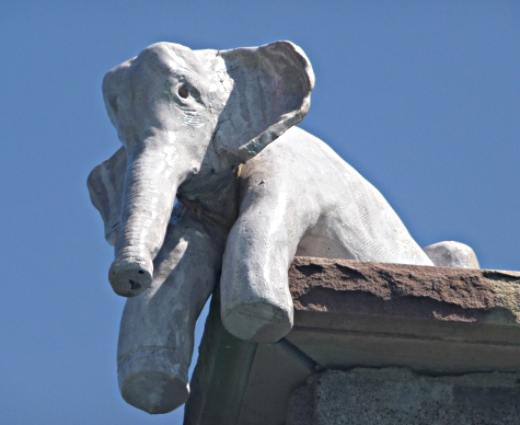 Un éléphant veille... entre ciel et terre !