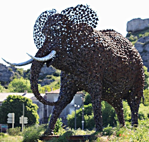 Elephant du Caylar - Photo PiouPiou