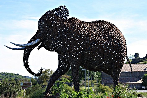 Elephant du Caylar_