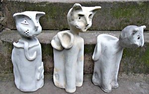 Chats "cru"