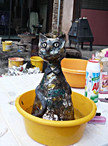 chat raku 5 - premier bain !