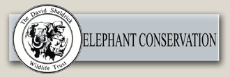 Elephant-Conservation Elephant-Conservation