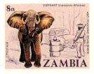 Zambie01