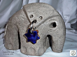 " elephant dodu " - © 2009 - Michèle Ruffin