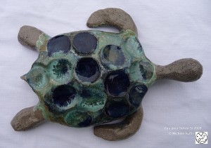 tortue d'eau pour Sol en Si tortue d'eau pour Sol en Si
