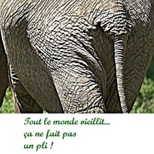 tout le monde vieillit.... cela devrait vous faire sourire :) tout le monde vieillit.... cela devrait vous faire sourire :)