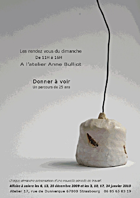 anne bulliot - parcours de 25 ans - donner à voir 