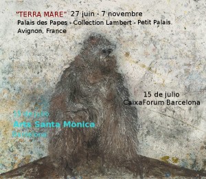 expo Miquel Barcelo - "Terra Mare" palais des papes à Avignon
