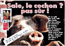 mail art cochon pour PIGGY envoyé novembre 2010