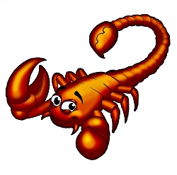 scorpion