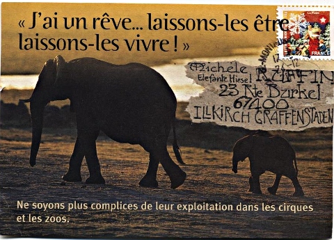 art_postal_maryse_janvier2011
