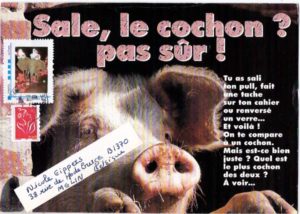 art postal thème cochon
