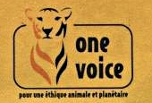 one voice