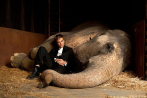 de-l-eau-pour-les-elephants-de-francis-lawrence