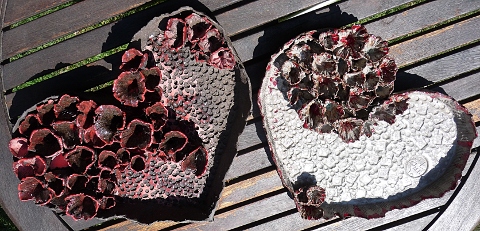Coeur de salon ou coeur de jardin... !