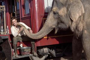Tai - De l'eau pour les éléphants