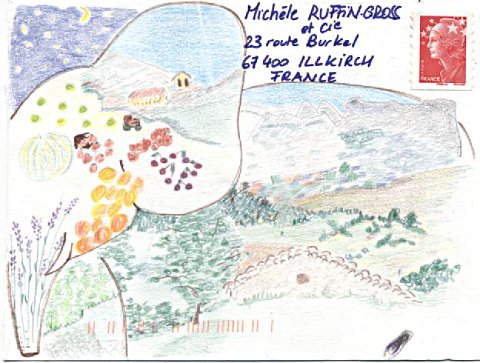 coucou patch_Yderm-work de Patricia coucou patch_Yderm-work de Patricia