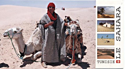 sahara 2007