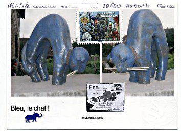 elephant 009