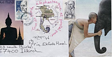 elephant 014