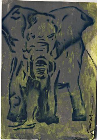 elephant 018