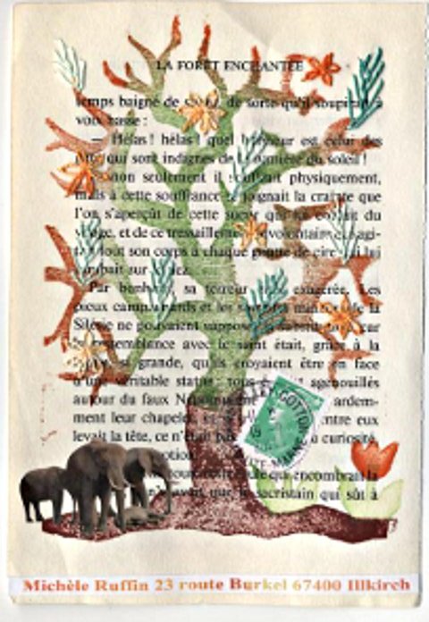 elephant 018_